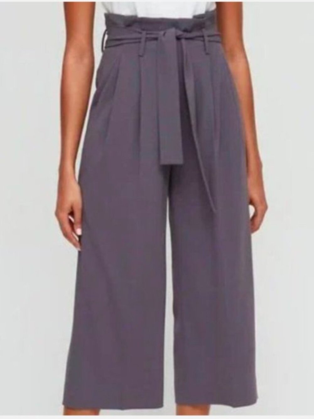 Aritzia Babaton Culotte Pant Wide Leg High Waist